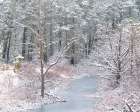 USA-New Jersey-Pine Barrens National Preserve-Winter scenic of stream and forest Art Print
